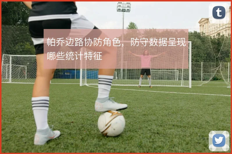 帕乔边路协防角色,防守数据呈现哪些统计特征