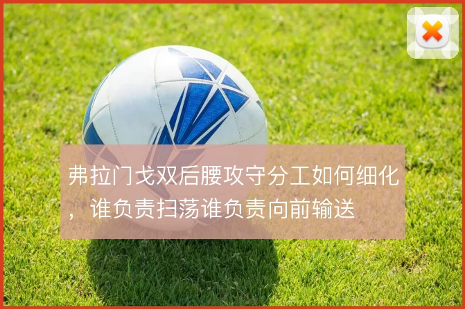 弗拉门戈双后腰攻守分工如何细化，谁负责扫荡谁负责向前输送