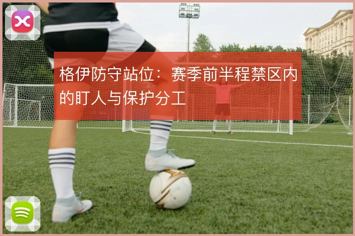 格伊防守站位：赛季前半程禁区内的盯人与保护分工