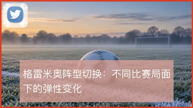 格雷米奥阵型切换：不同比赛局面下的弹性变化